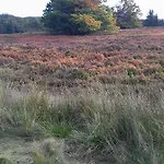 Schoenblick 빈터베르크