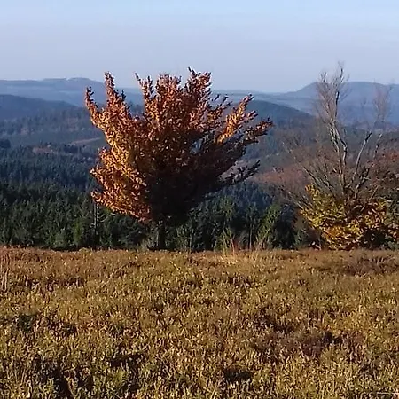 Schoenblick * Winterberg