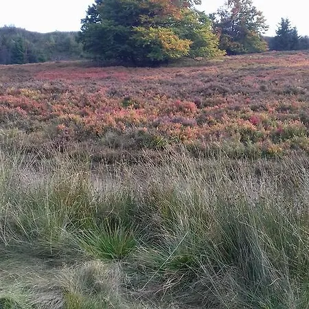 Schoenblick 빈터베르크