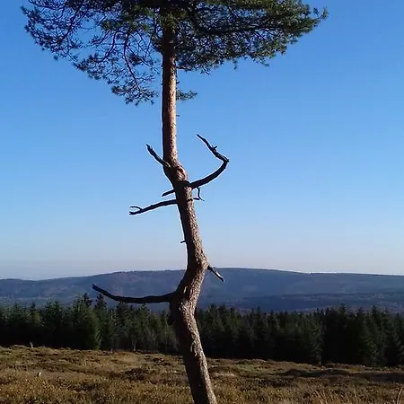 아파트 Schoenblick *