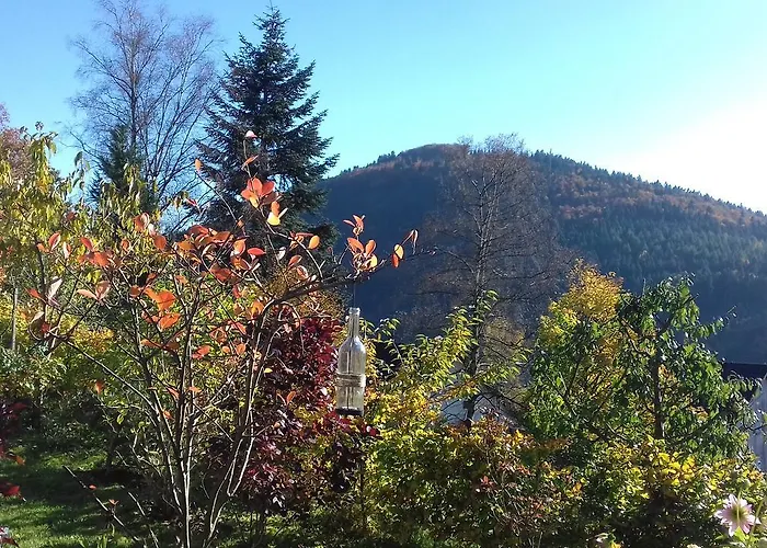 Schoenblick Lägenhet