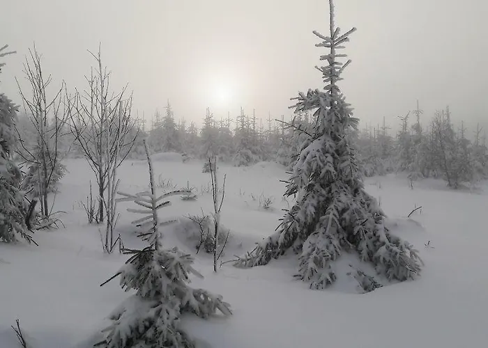 Schoenblick * Winterberg
