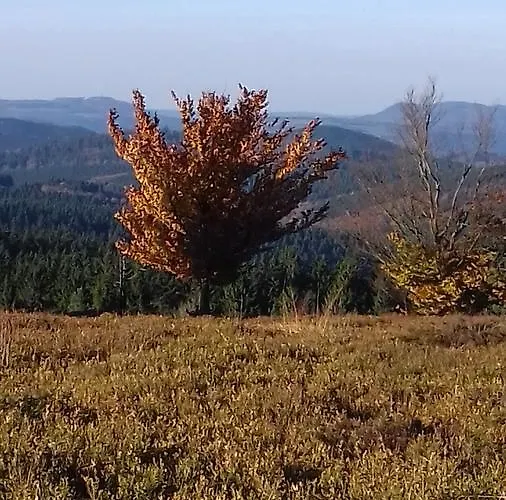 Schoenblick * ווינטרברג