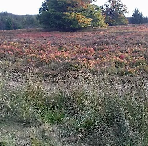 Schoenblick ווינטרברג